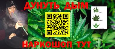 каннабис Кингисепп