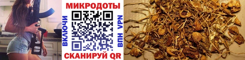 магазин продажи   даркнет как зайти  Псилоцибиновые грибы прущие грибы  Нижнекамск 