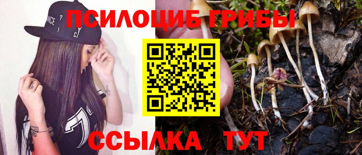 Нижнекамск  Псилоцибиновые грибы Psilocybe  Псилоцибиновые грибы GOLDEN TEACHER  Вход с VPN 
